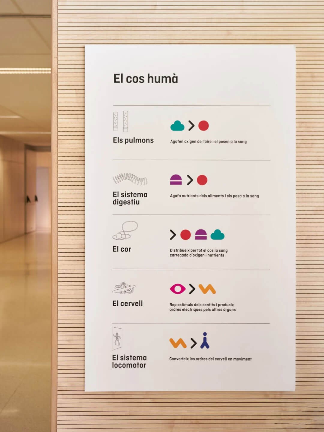 Custom outdoor projecting light box sign, featuring a minimalist and modern commercial design.