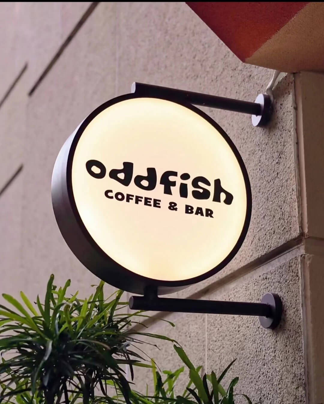Circular double-sided illuminated storefront projecting sign for oddfish coffee & bar with black metal brackets.